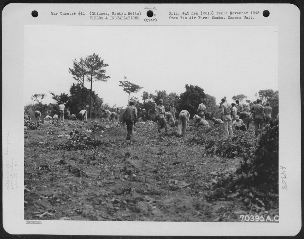 41st Bomb Group near Kadena Airstrip
