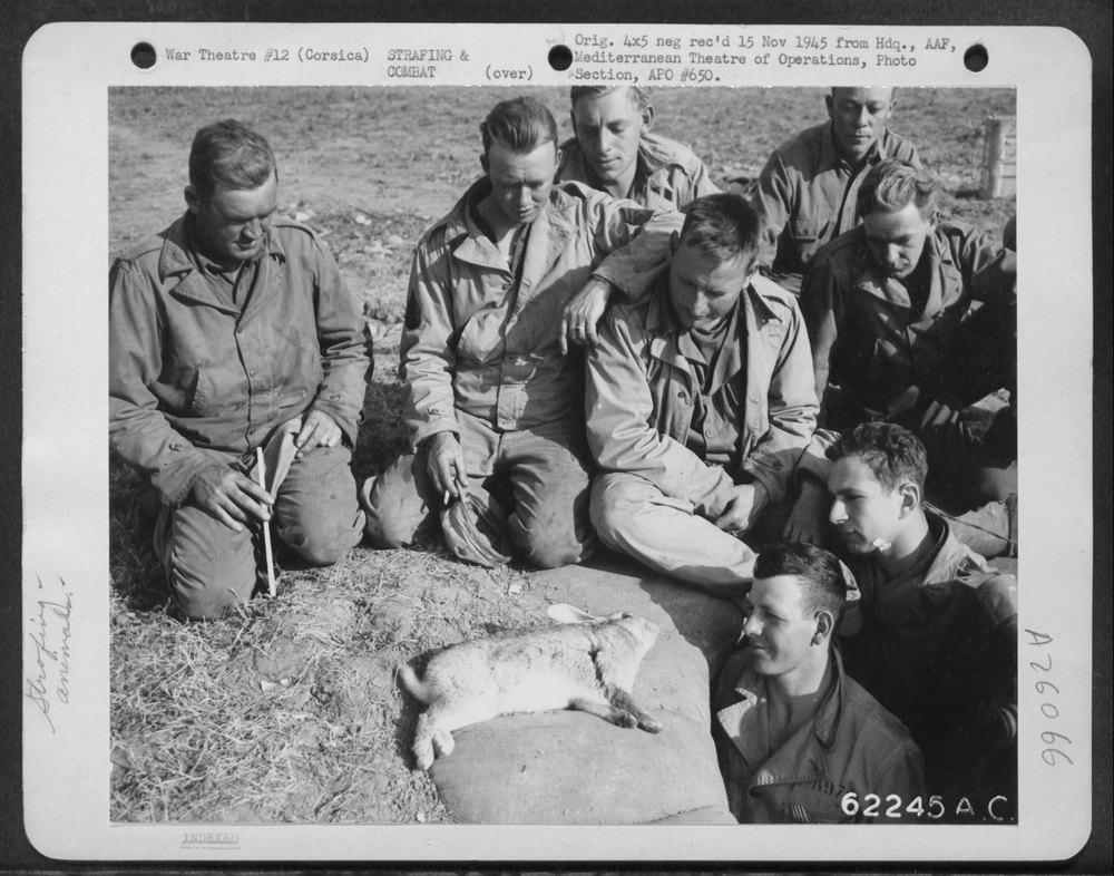 Air crew at Corsican air field