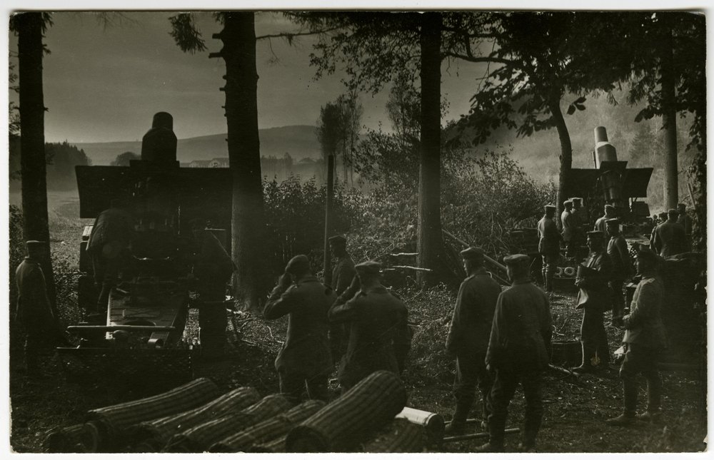 Artillery pieces in a wooded area
