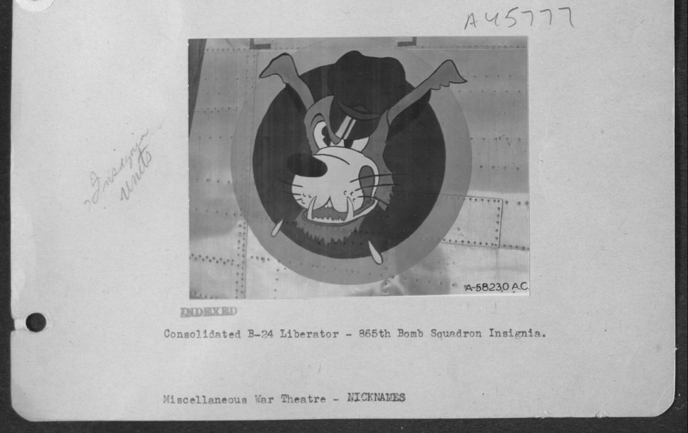 B-24 Liberator 865th Bomb Squadron