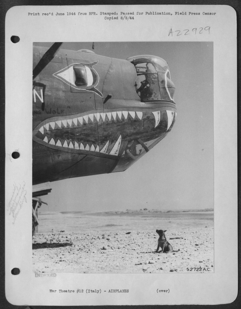 B-24 Liberator in southern Italy