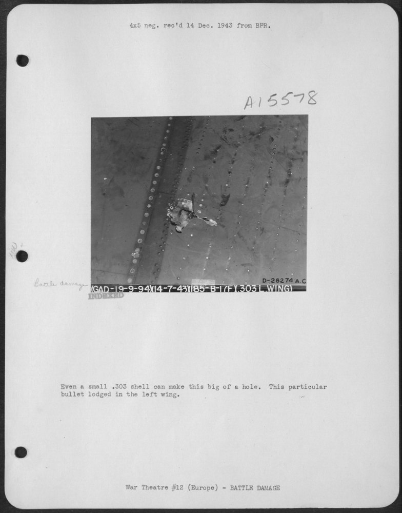Bullet in left wing