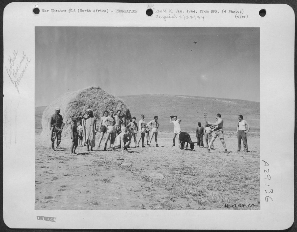 Collins and McFadden in North Africa