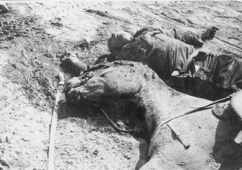 Dead Cossacks