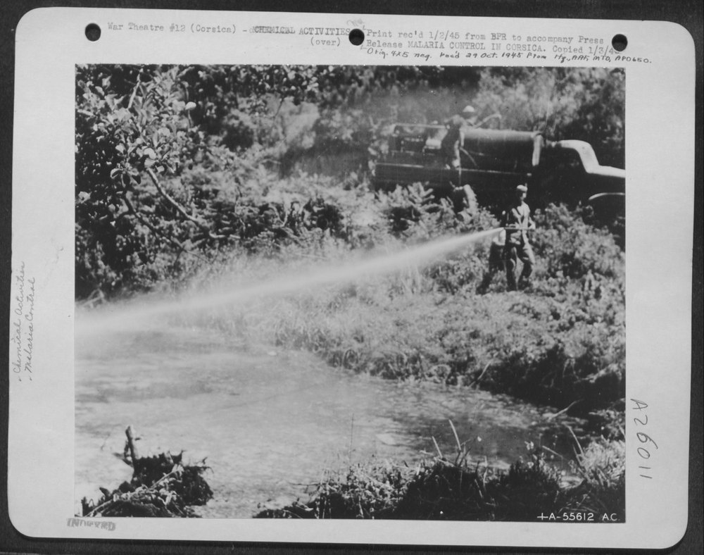 Diesel Oil Being Sprayed on Steam Beds and Pools of the Marshland