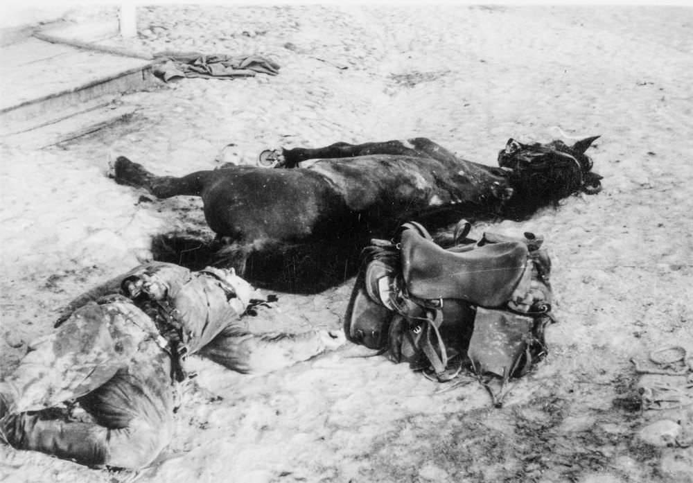 Fallen Cossack