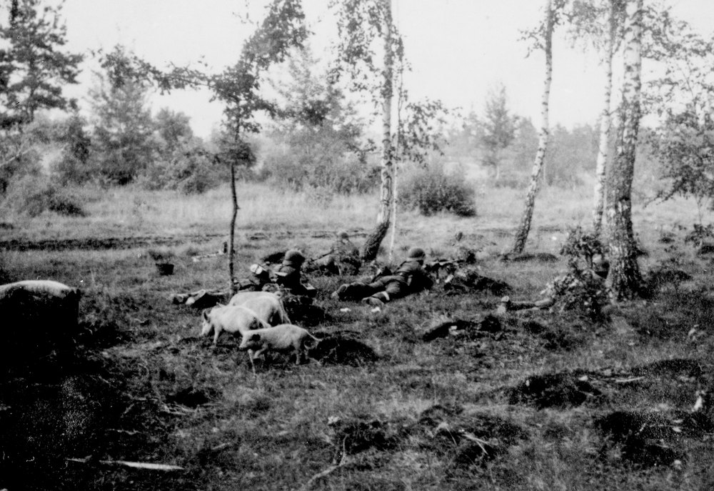 Infantry positions on the Desna River