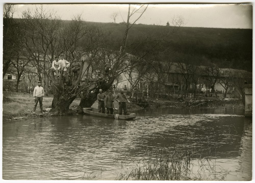 Men in boat near tree by water