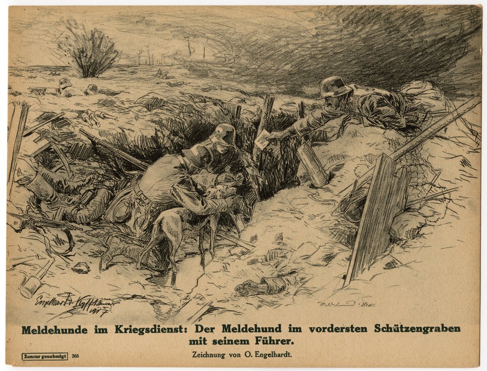 Messenger dogs on war service in a trench