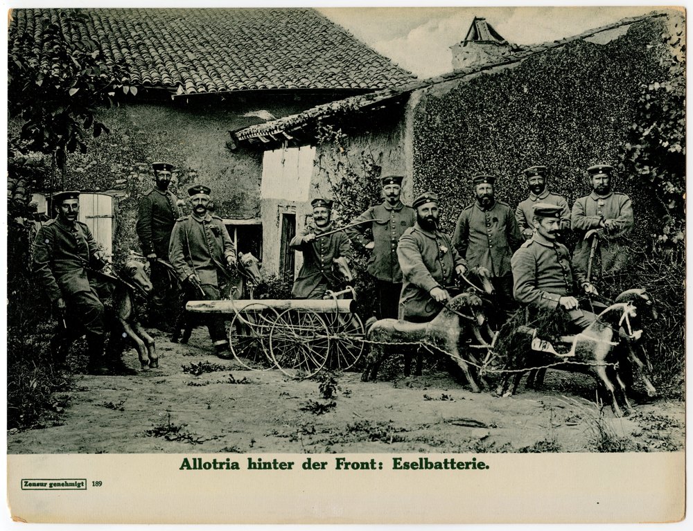 Military personnel with donkeys and cart
