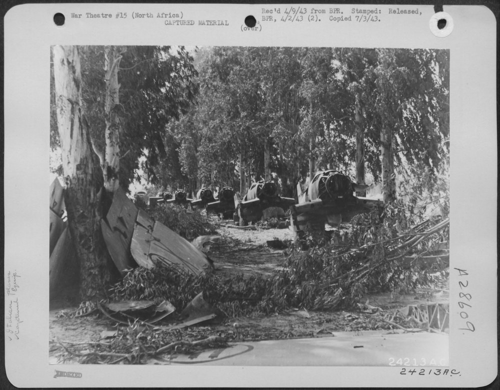 North Africa-Eucalyptus trees surrounding the airfield provided