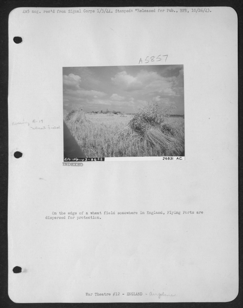 On the Edge of a Wheat Field Somewhere in England
