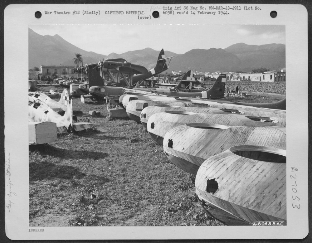 Italian Reconnaissance Seaplanes, CANP 2-501