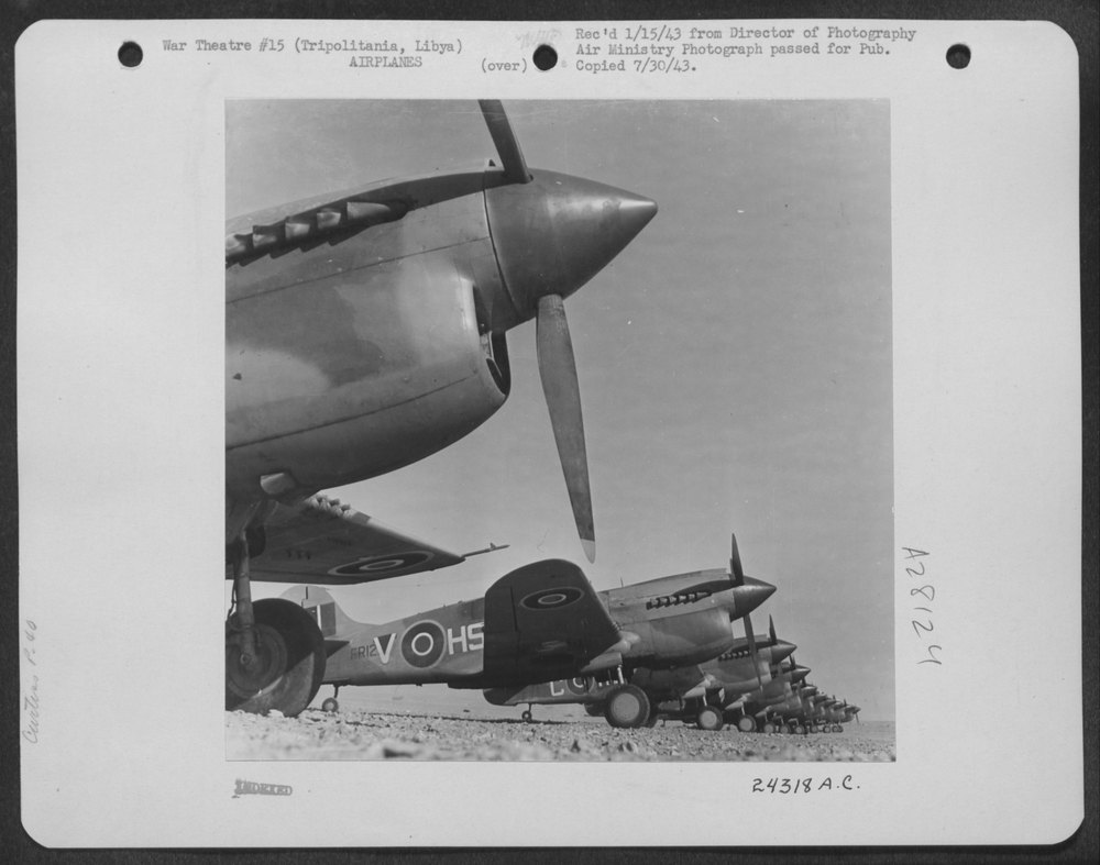 P-40's in Tripolitania