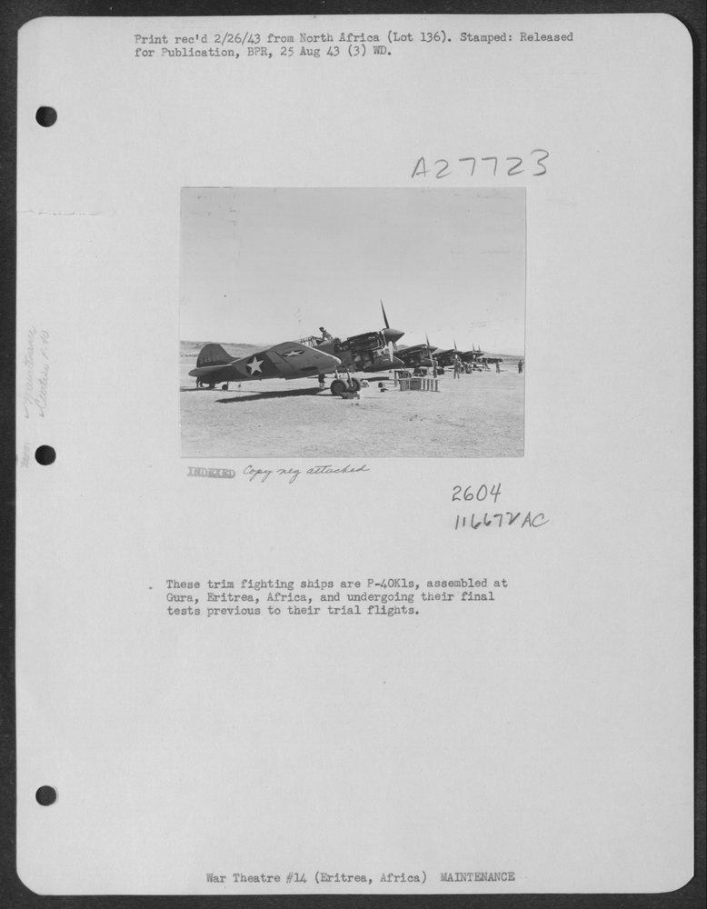 P-40K1s at Gura Eritrea