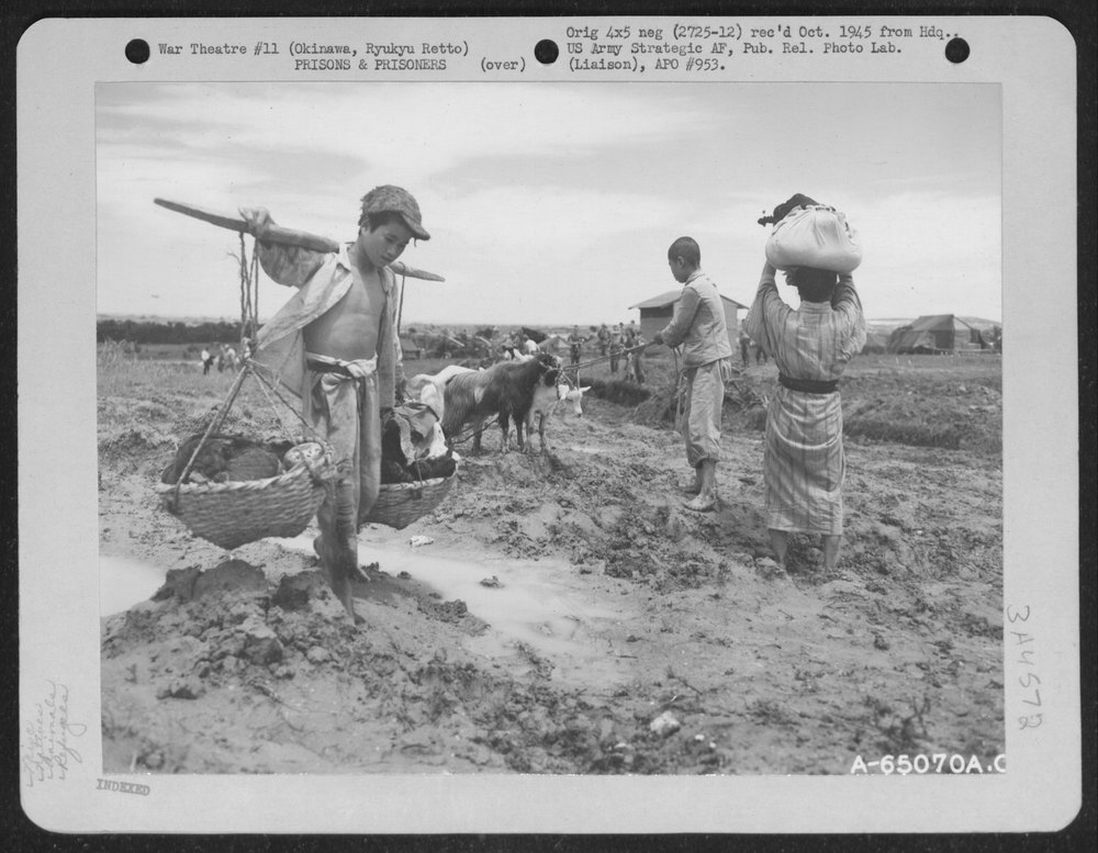 Refugees, Carrying Their Personal Belongings and Leading Animals