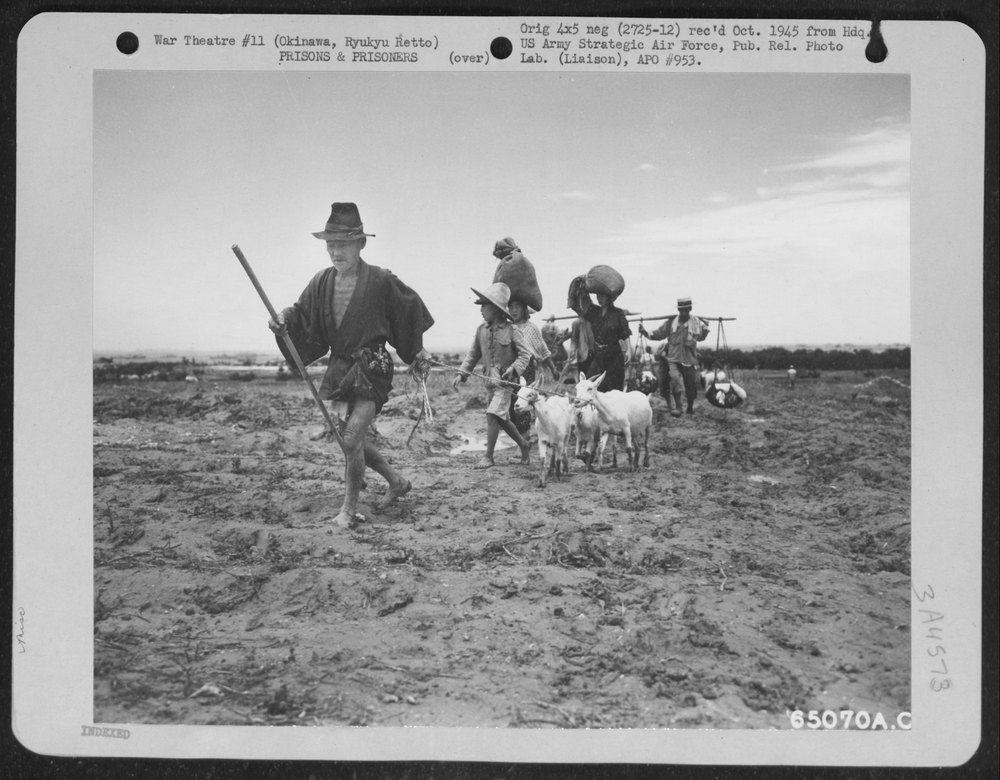 Refugees, Carrying Their Personal Belongings and Leading Animals
