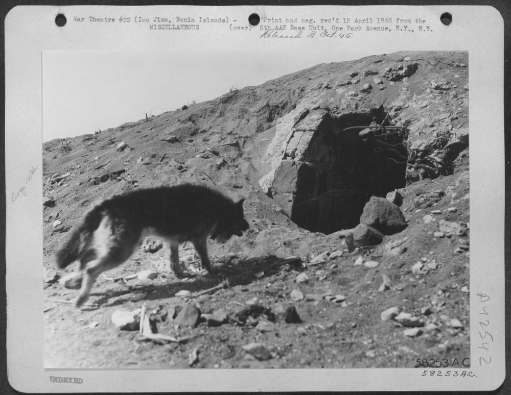 Ricky in cave