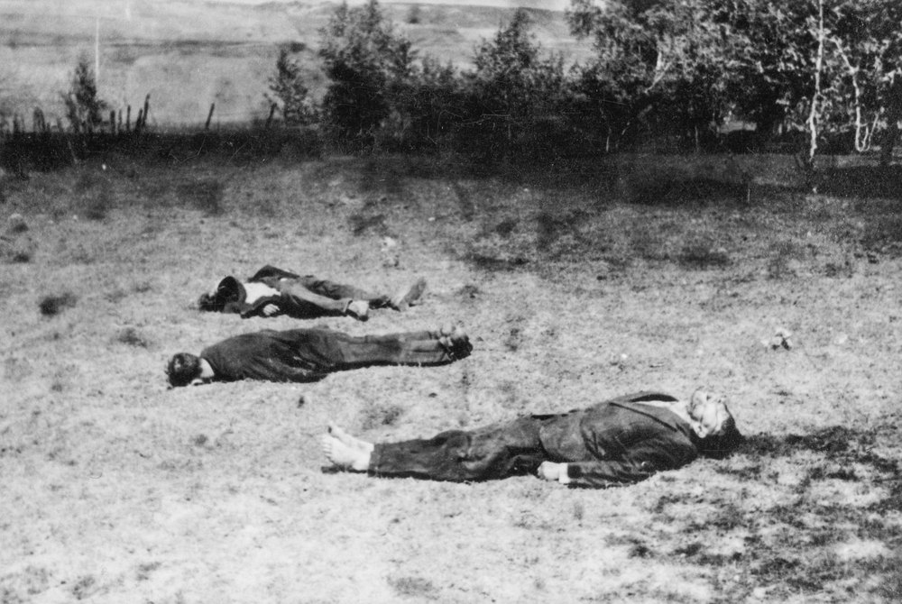 Russian partisans shot dead