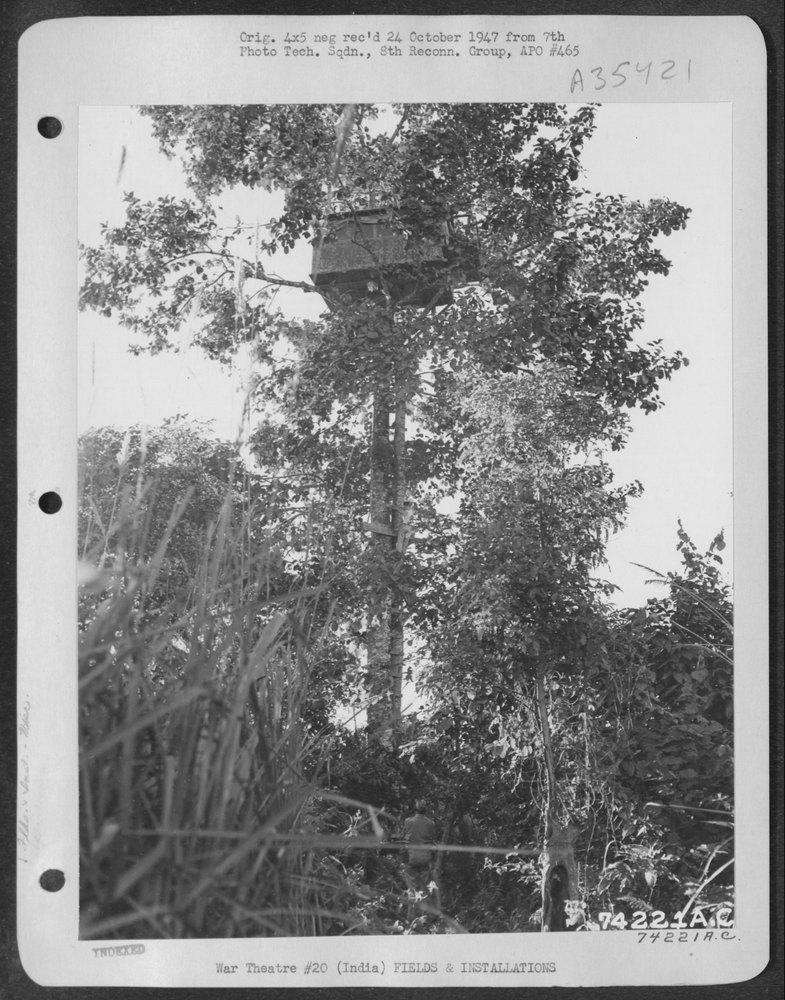 Signal station in tree at Chabua
