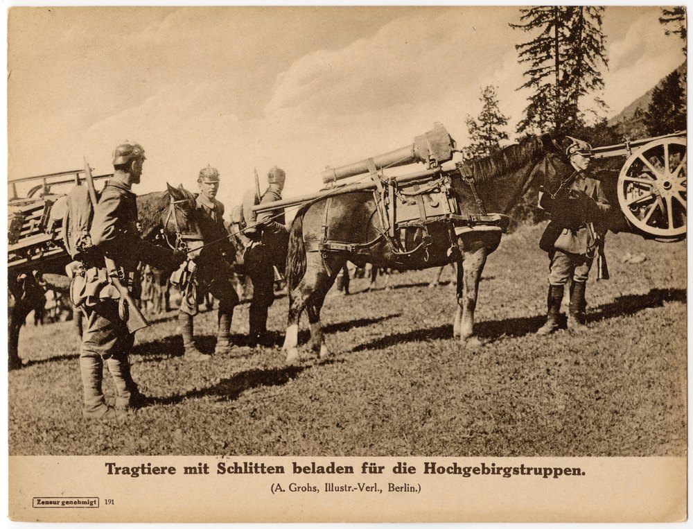 Soldiers with horses and wagon in wooded area