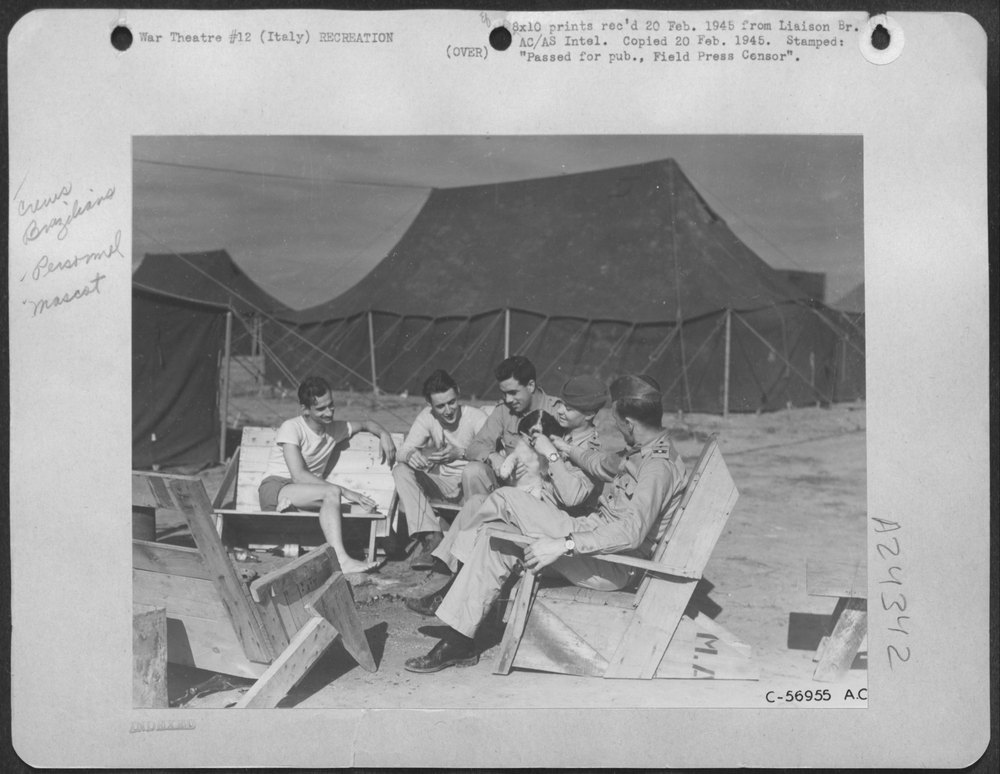 Sunning Themselves In Between Missions