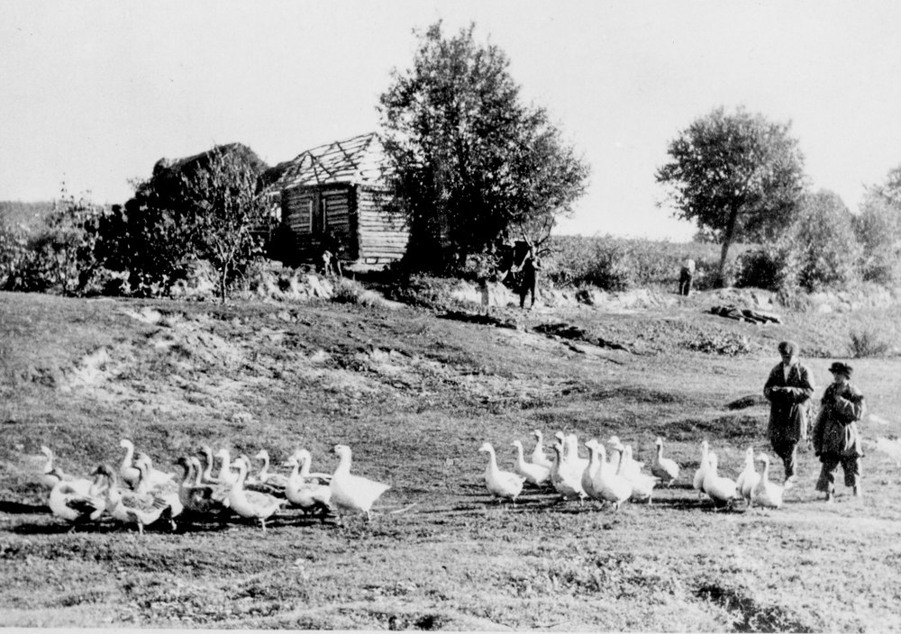 Village of Alexandwaka