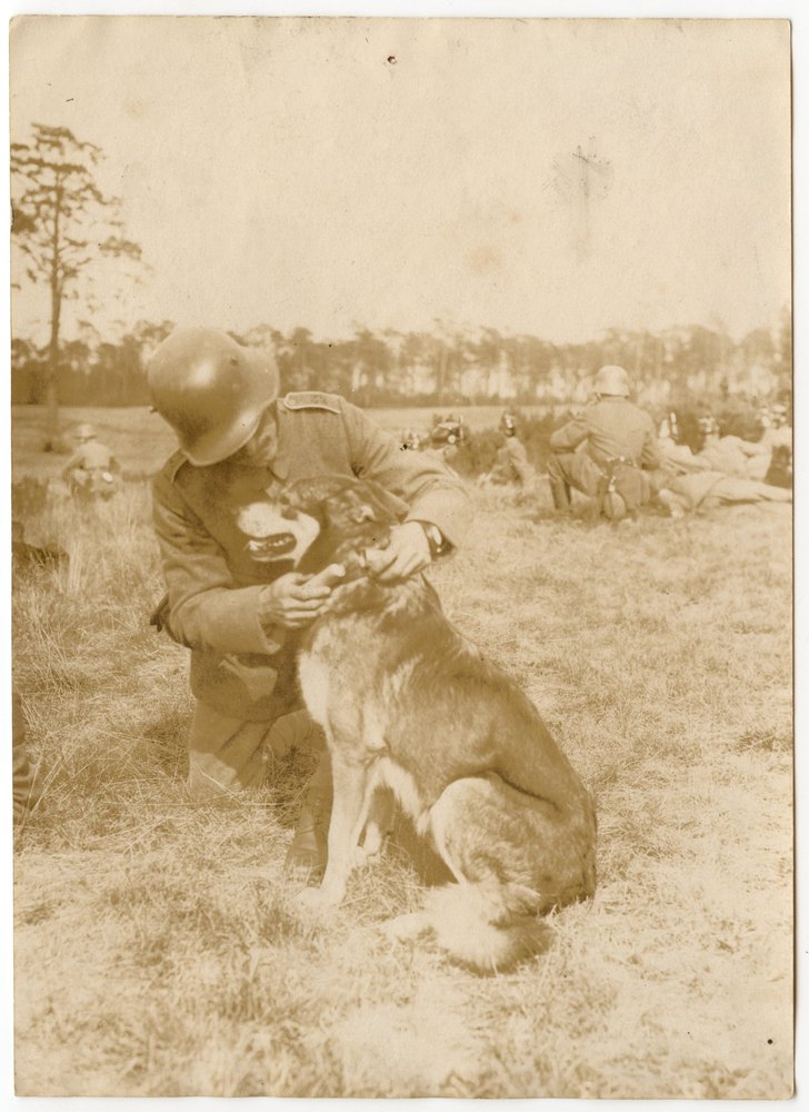 War dog demonstration at Grunewaldrennbahn